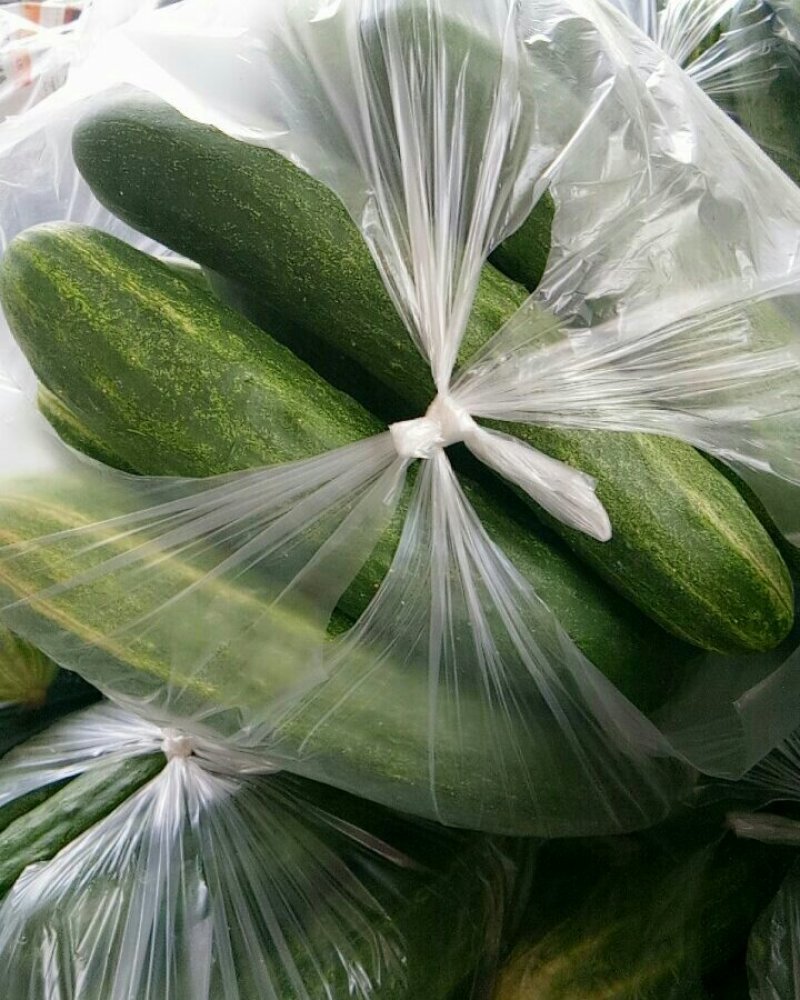 黄瓜（新鮮黃瓜现货）