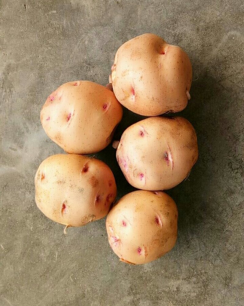 土豆（新鲜土豆现货）
