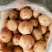 土豆（新鲜土豆现货）