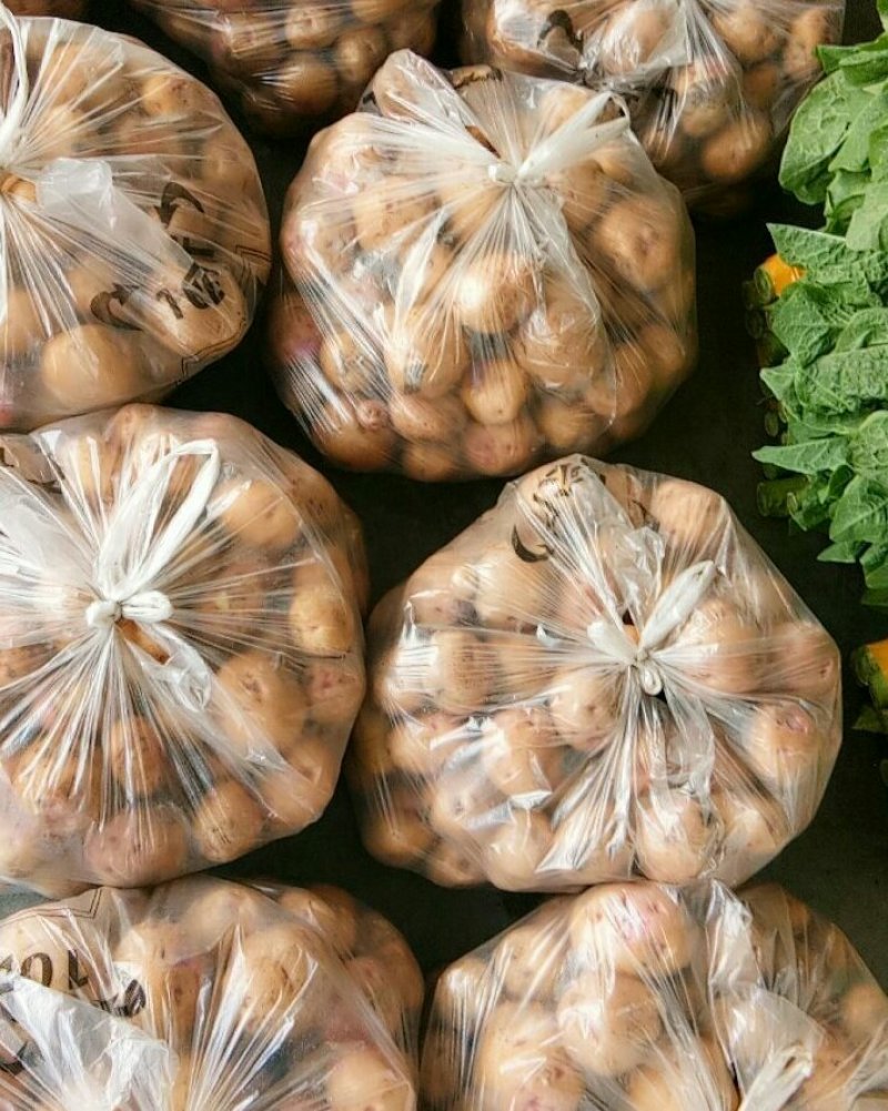 土豆（新鲜土豆现货）