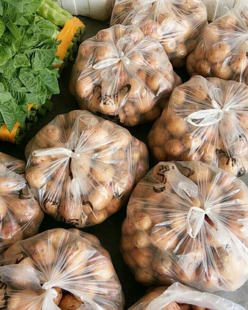 土豆（新鲜土豆现货）