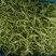 豆角干传统种植拒绝化肥农药放心菜