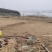 小施养殖场批发有优惠合作共赢