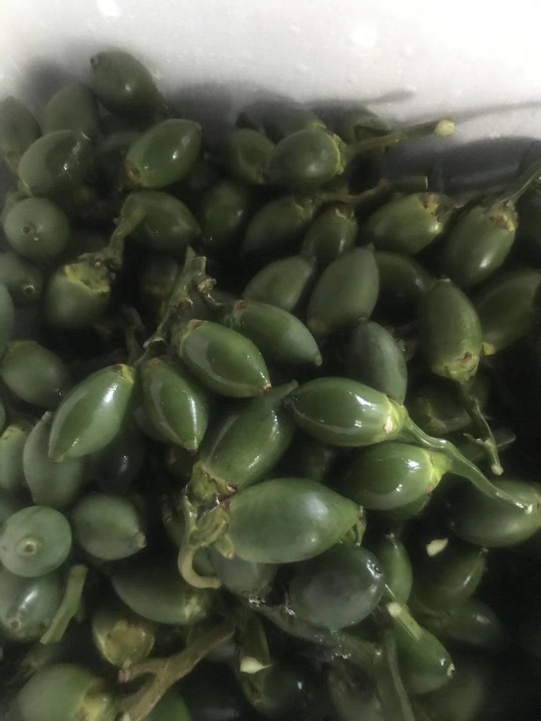 越南一类新鲜槟榔