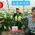 豫艺金富早绿茄青茄子
