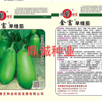 豫艺金富早绿茄青茄子