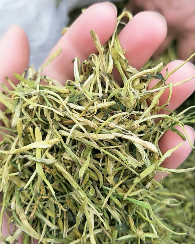 金银花，常年批发供应各种规格产地金银花