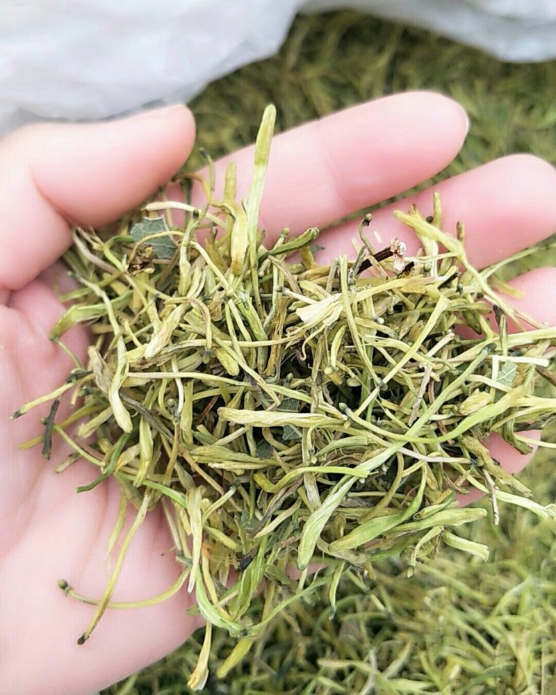 金银花，常年批发供应各种规格产地金银花