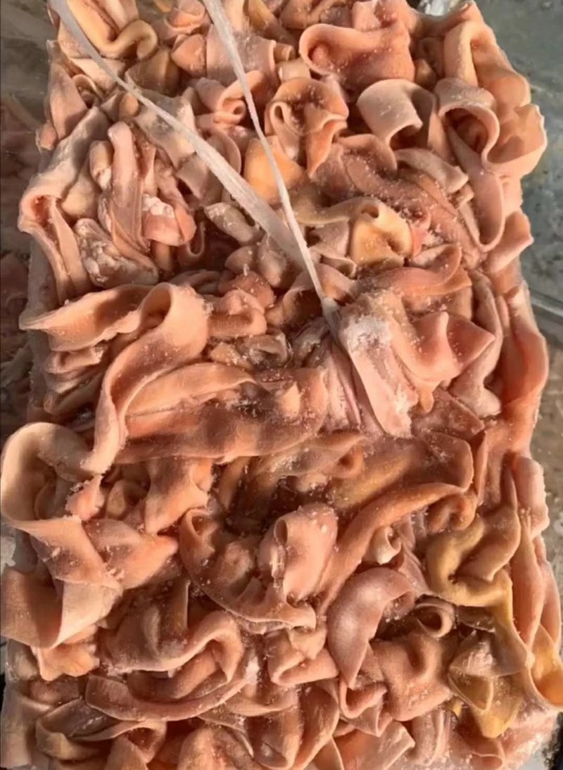 东北九尺鹅肠四川重庆火锅食材整根鹅肠干净无油