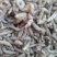 僵蚕僵虫包含量可炒可磨粉无死蚕