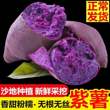 新鲜紫薯2斤5斤当季农家番薯地瓜现货包邮一件代发