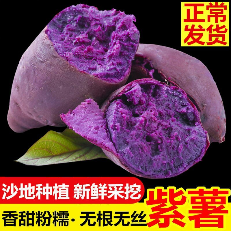 新鲜紫薯2斤5斤当季农家番薯地瓜现货包邮一件代发