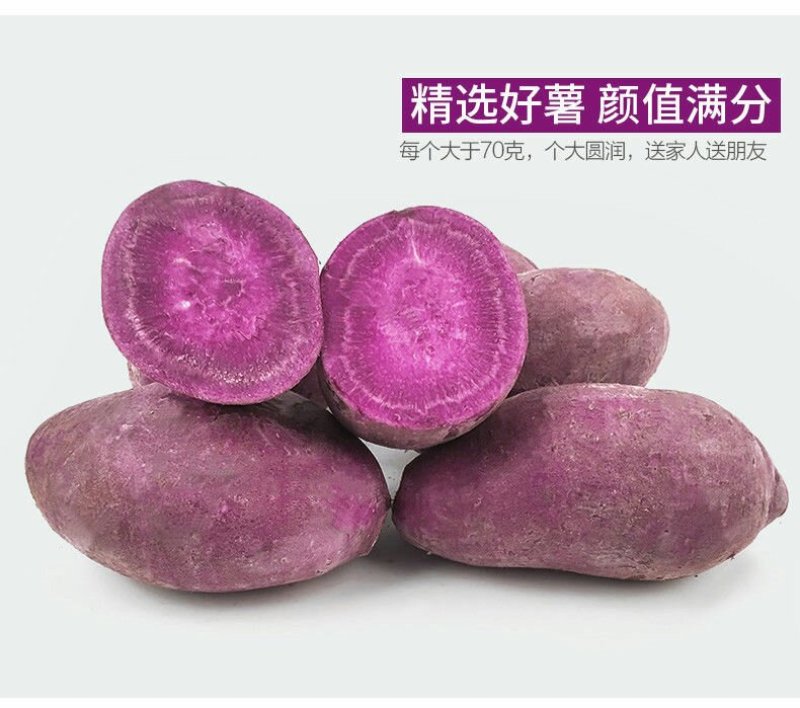 新鲜紫薯2斤5斤当季农家番薯地瓜现货包邮一件代发