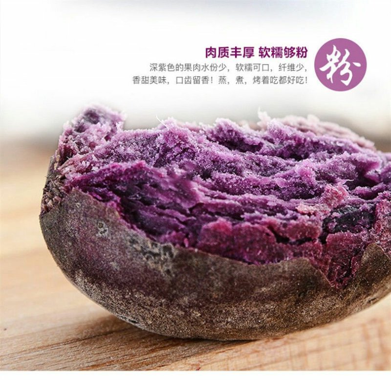 新鲜紫薯2斤5斤当季农家番薯地瓜现货包邮一件代发