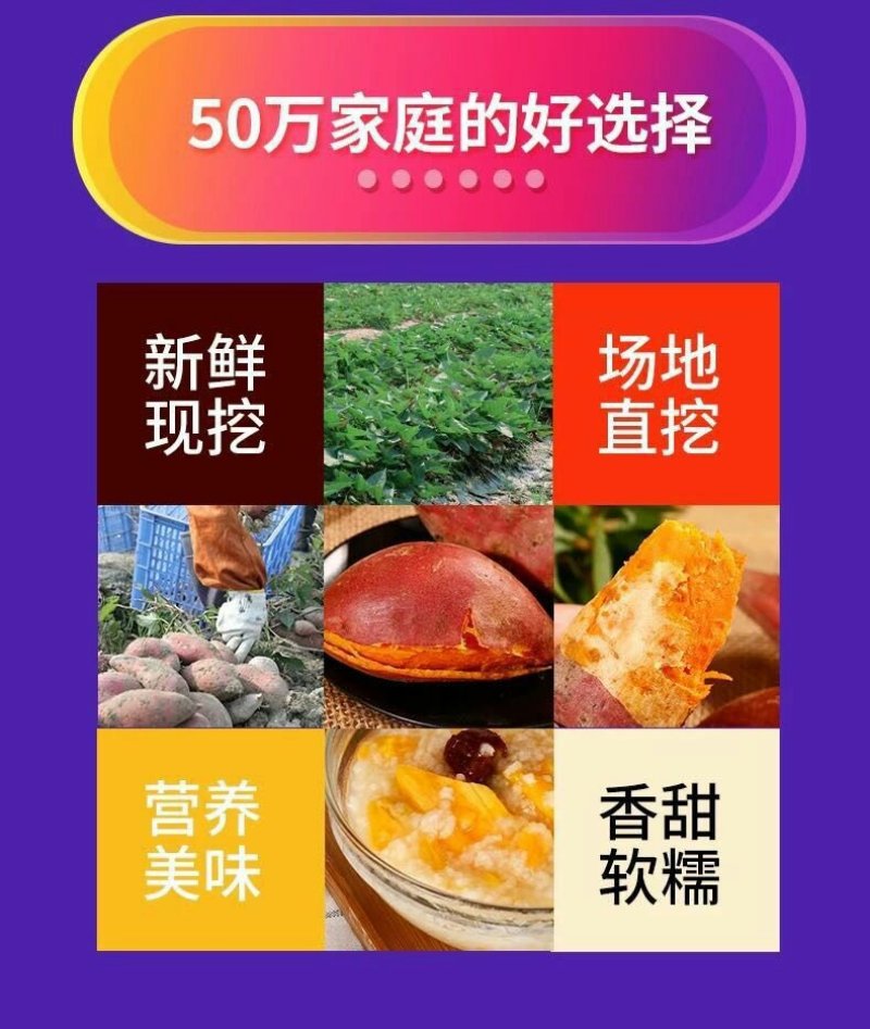 新鲜紫薯2斤5斤当季农家番薯地瓜现货包邮一件代发