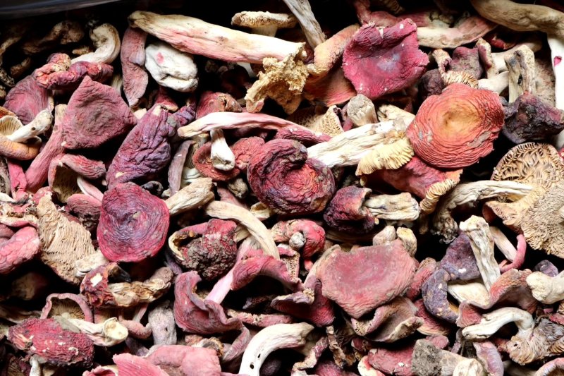 红菇特价云南红菇肉质饱满菇香味浓郁质量保证