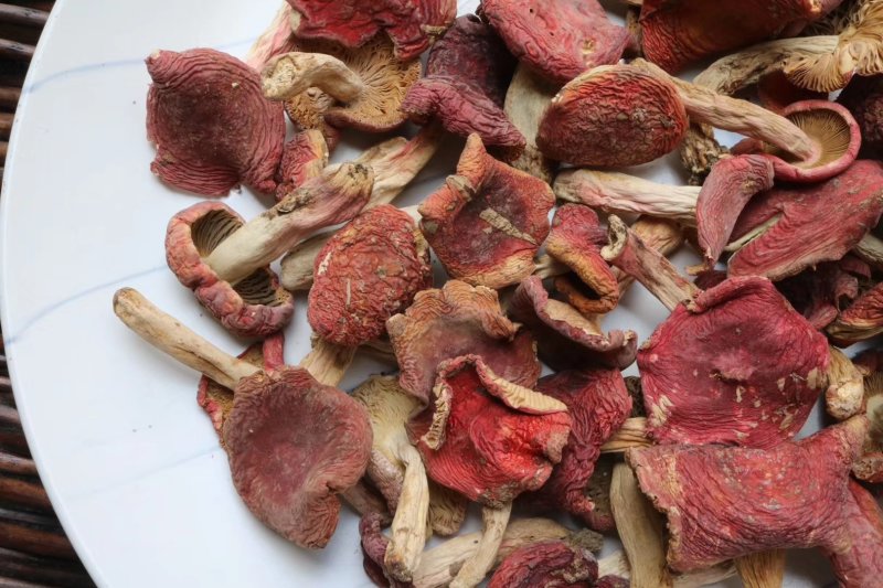 红菇特价云南红菇肉质饱满菇香味浓郁质量保证