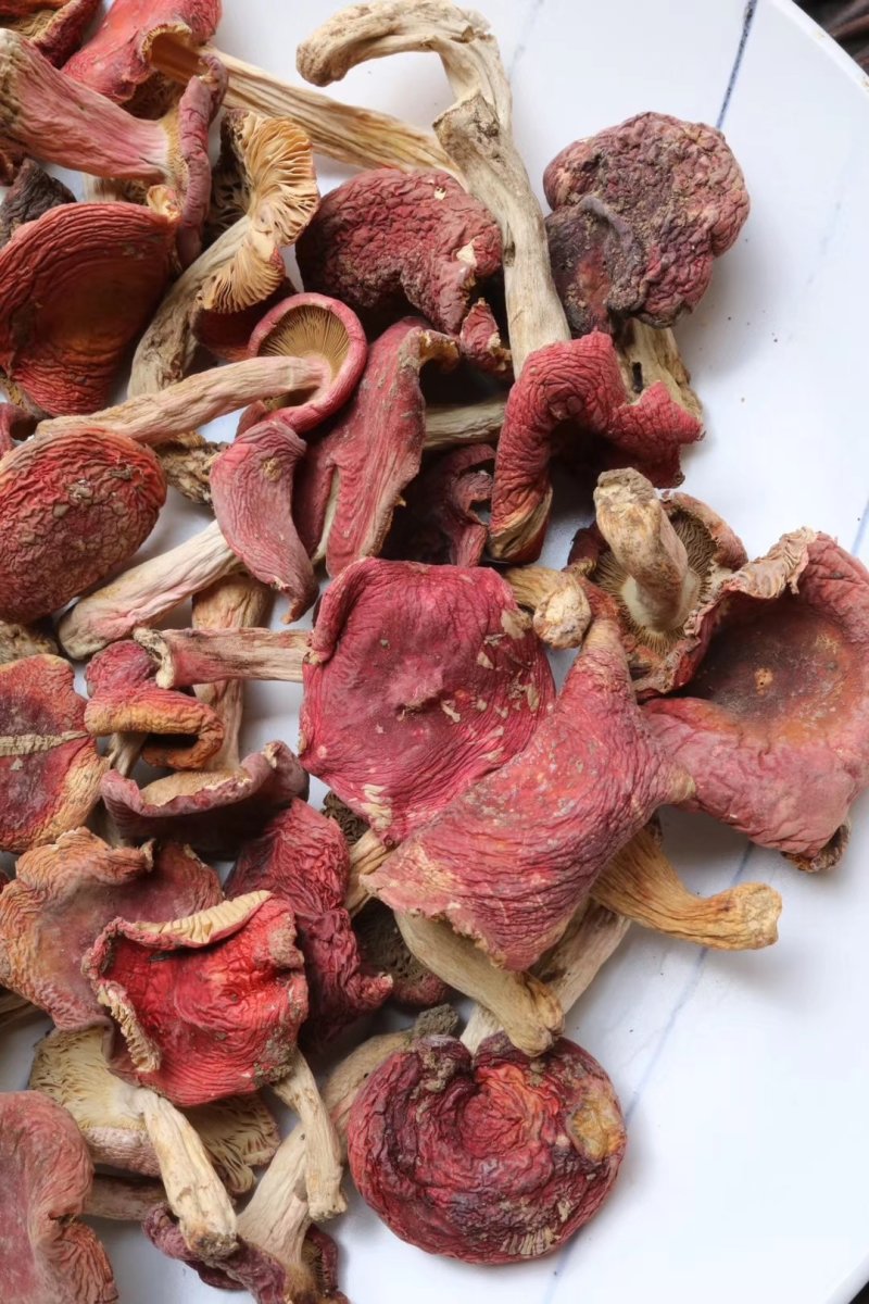 红菇特价云南红菇肉质饱满菇香味浓郁质量保证