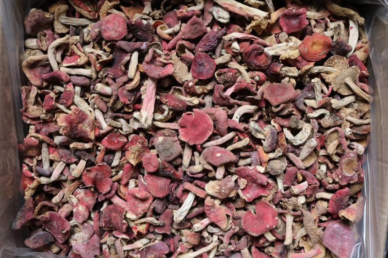 红菇特价云南红菇肉质饱满菇香味浓郁质量保证