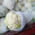 陕西包菜