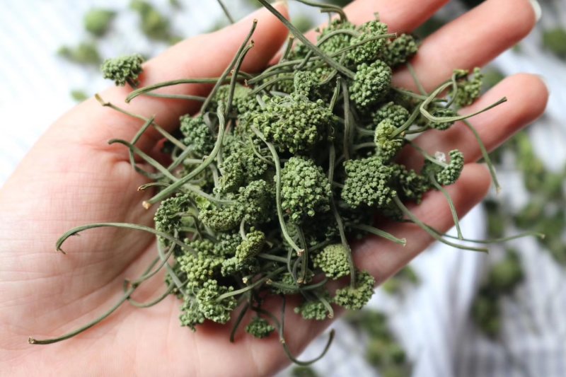 特级带柄田七花无熏硫颜色碧绿气味芬芳质量保证