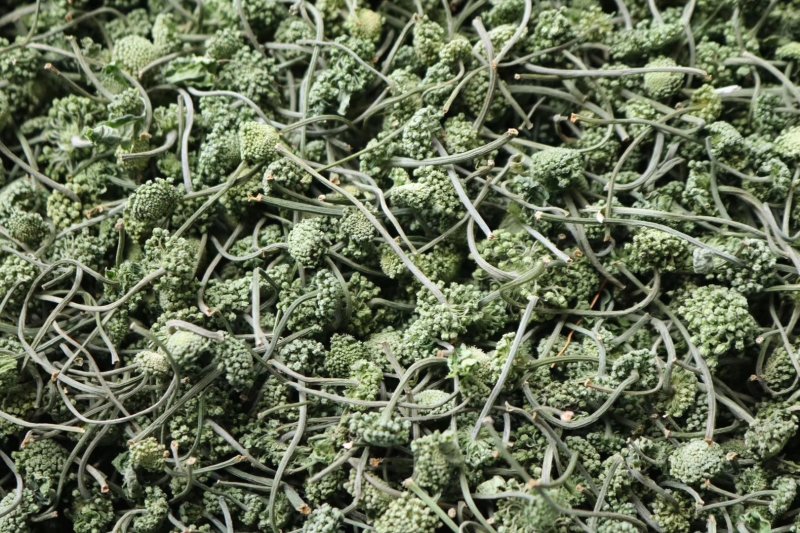 特级带柄田七花无熏硫颜色碧绿气味芬芳质量保证