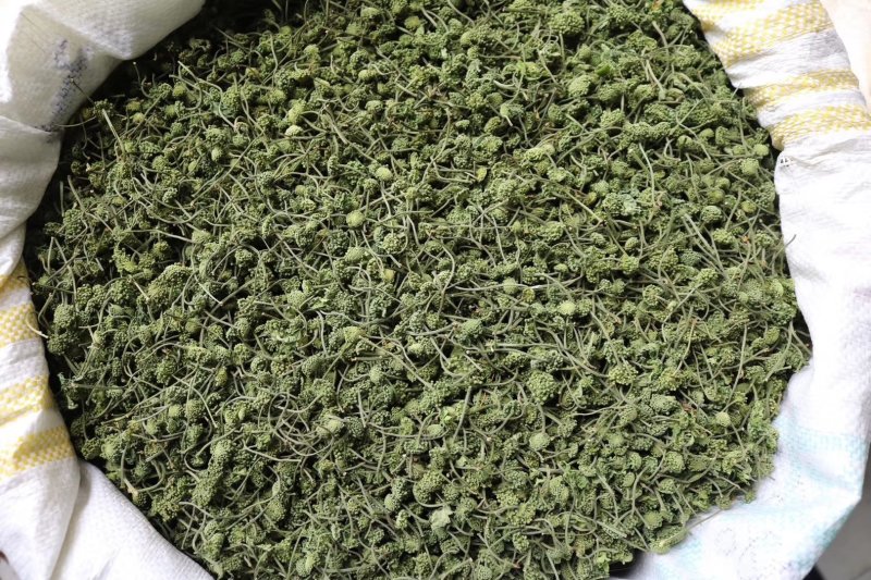 特级带柄田七花无熏硫颜色碧绿气味芬芳质量保证