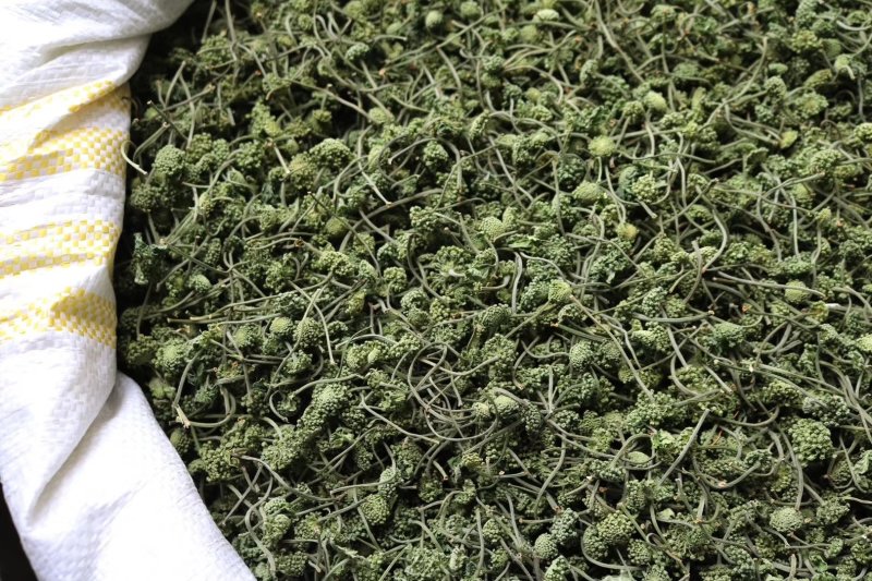 特级带柄田七花无熏硫颜色碧绿气味芬芳质量保证
