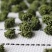 精选四年头茬田七花无熏硫饱满味道醇厚甘甜质量包装代发