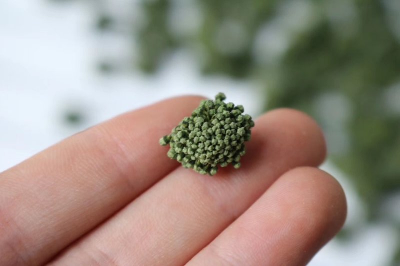 精选四年头茬田七花无熏硫饱满味道醇厚甘甜质量包装代发