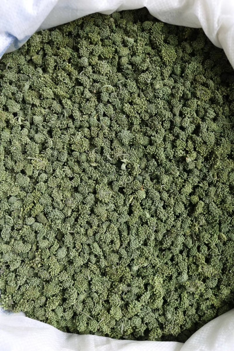 精选四年头茬田七花无熏硫饱满味道醇厚甘甜质量包装代发