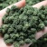 精选四年头茬田七花无熏硫饱满味道醇厚甘甜质量包装代发