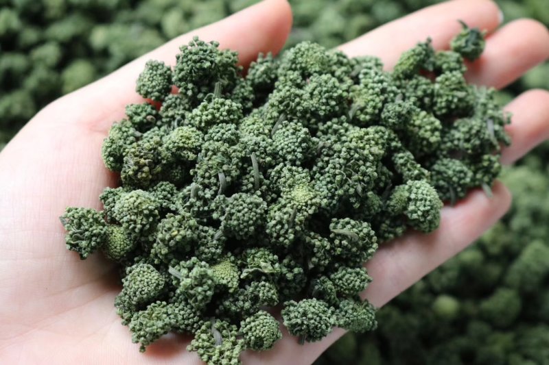 精选四年头茬田七花无熏硫饱满味道醇厚甘甜质量包装代发