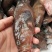 油班鱼，钓口的，海鲜，海鱼