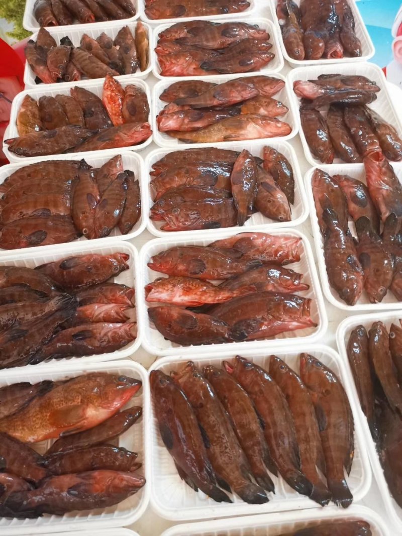 油班鱼，钓口的，海鲜，海鱼