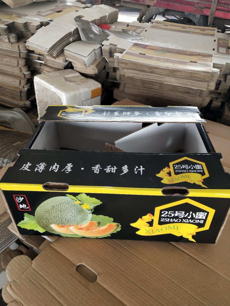 山东聊城莘县晓蜜二五哈密瓜大量上市