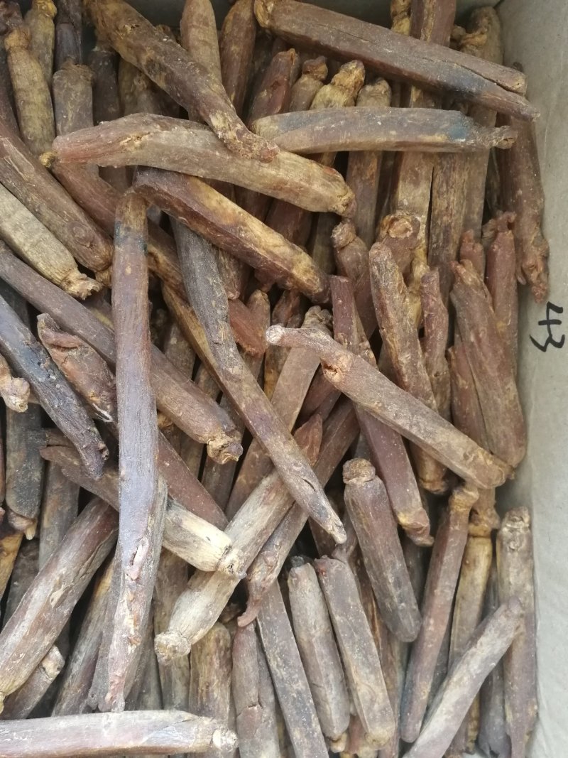高丽参别直参红皮高丽参黄皮高丽参
