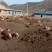 山西忻州肉牛基地