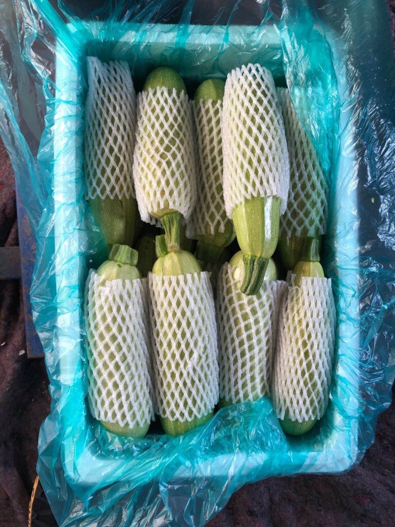 西葫芦