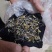 板蓝根种子板蓝根籽包芽率包邮支持大货批发零售