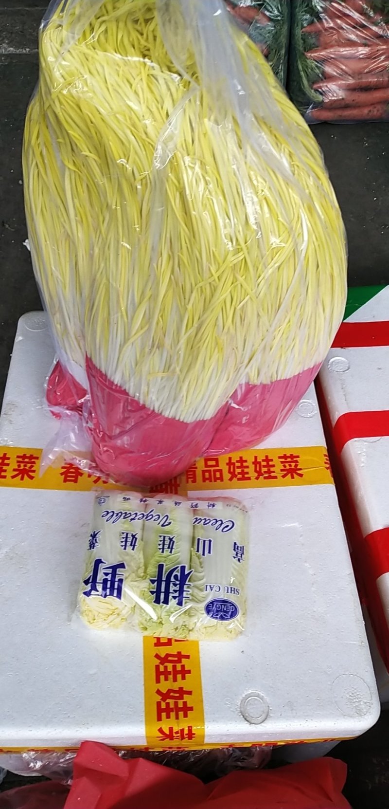 蒜黄