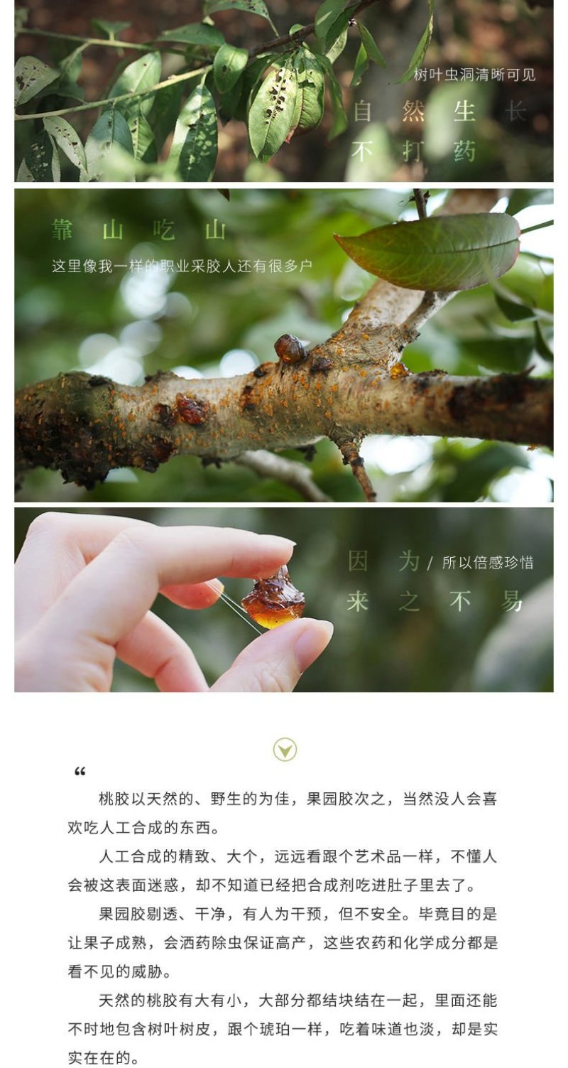【无杂质】桃胶野生特级食用组合纯正桃花泪
