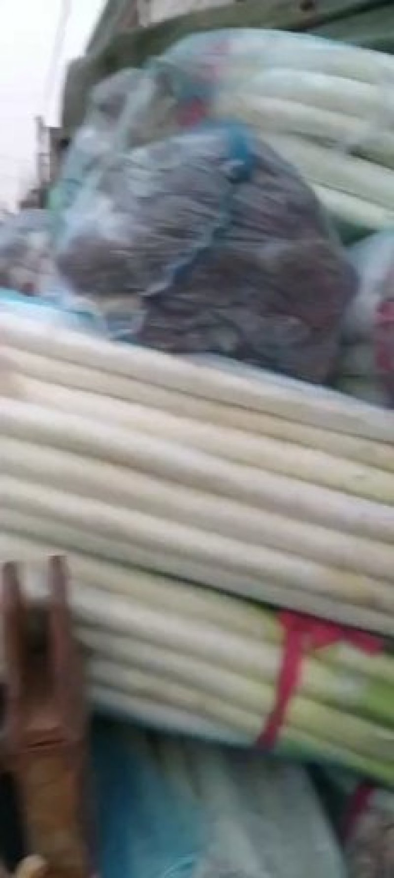 大葱，四川货，重庆货。细长货河南货，北京货，