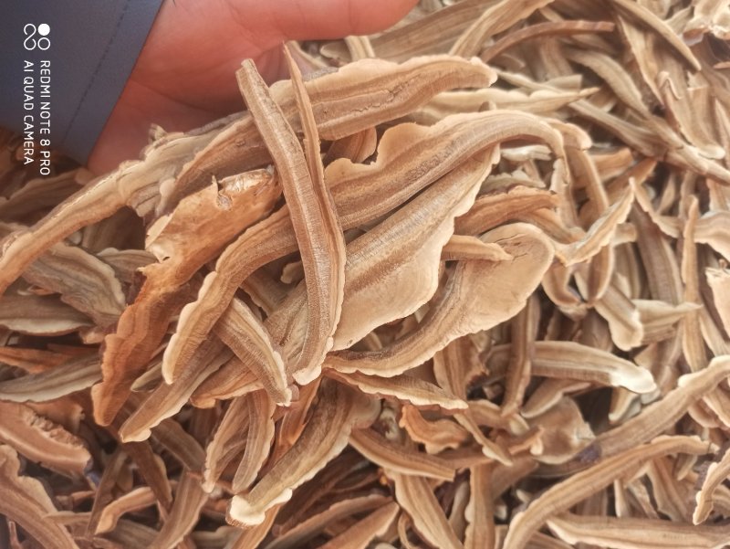 产地直销灵芝片各种规格正品专营中药批发