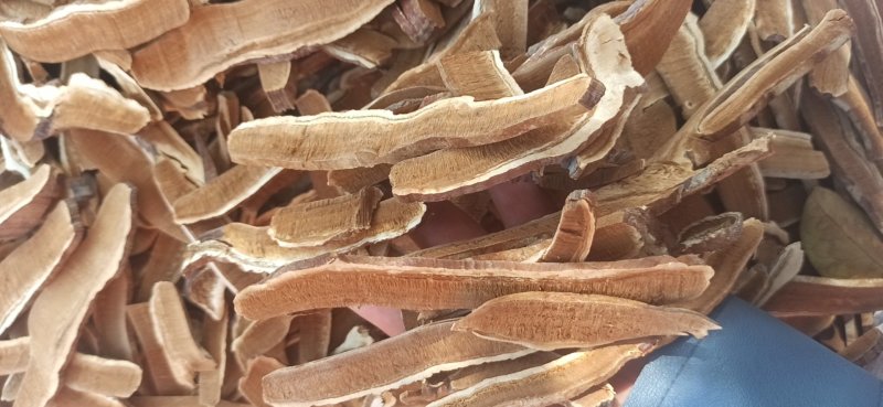 产地直销灵芝片各种规格正品专营中药批发