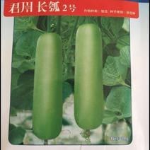 长瓠子瓜种子食用甜瓠瓜蒲瓜菜葫芦种籽抗病春播蔬菜种孑农家