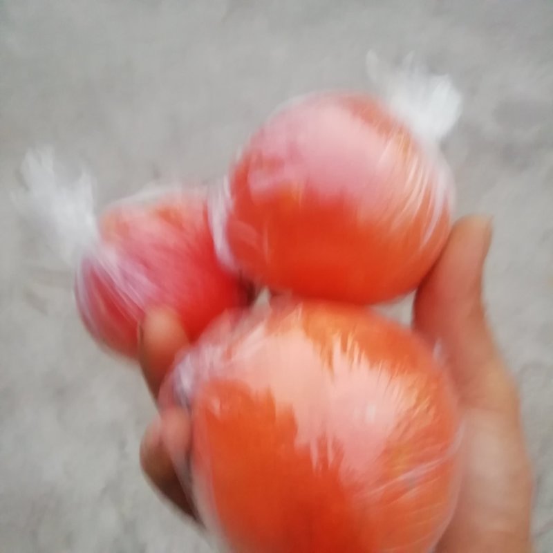 血橙/枇杷