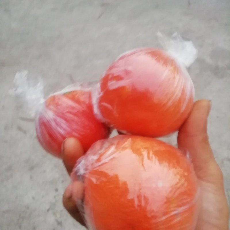 血橙/枇杷