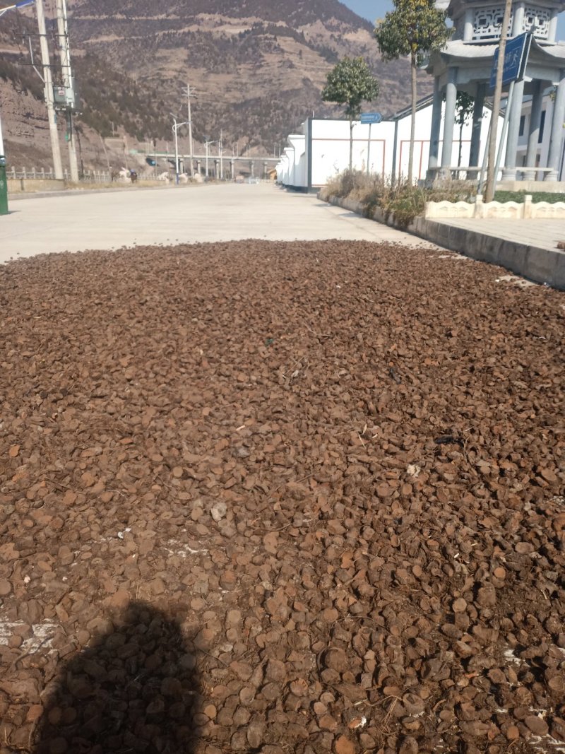 岩陀