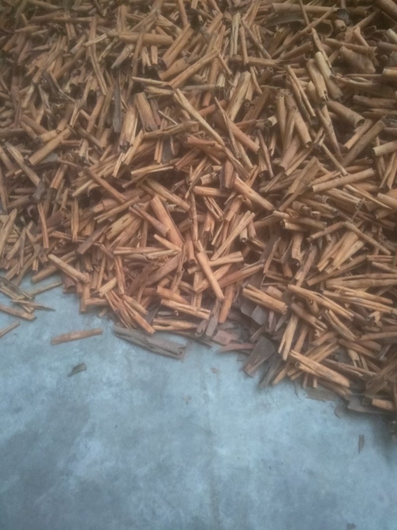 桂皮缅甸烟桂产地直销(现货大量供应)